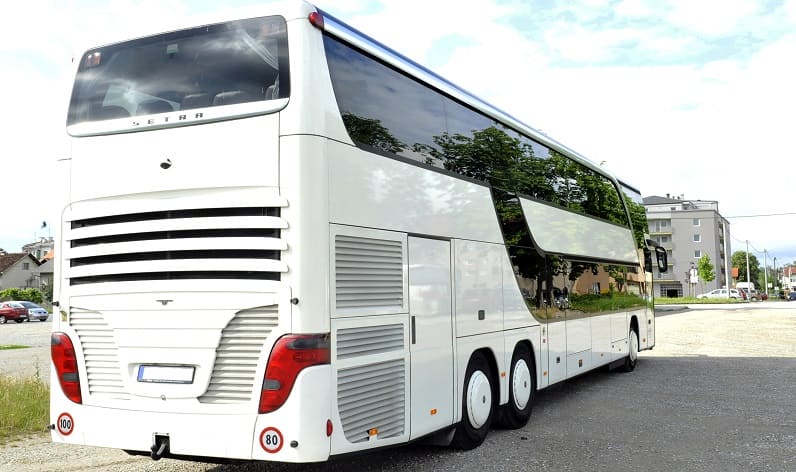 Centro: Bus charter in Castelo Branco in Castelo Branco and Portugal
