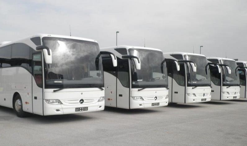 Centro: Bus company in Covilhã in Covilhã and Portugal