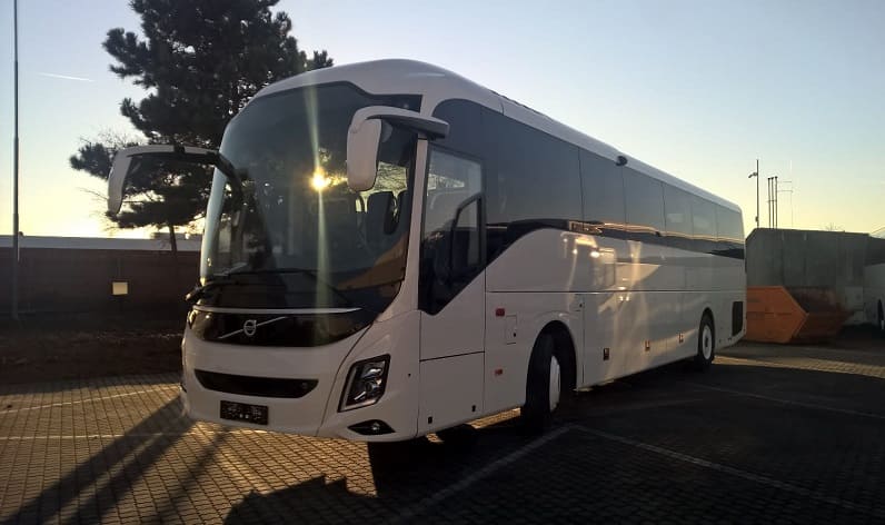 Centro: Bus hire in Castelo Branco in Castelo Branco and Portugal