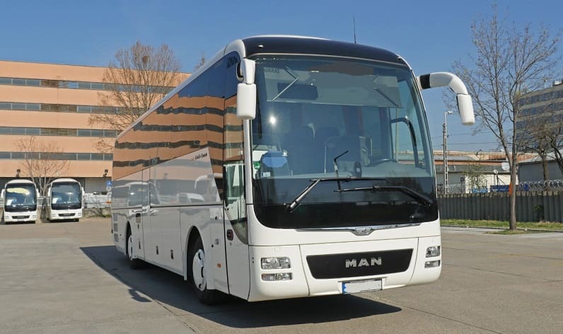 Centro: Buses operator in Entroncamento in Entroncamento and Portugal