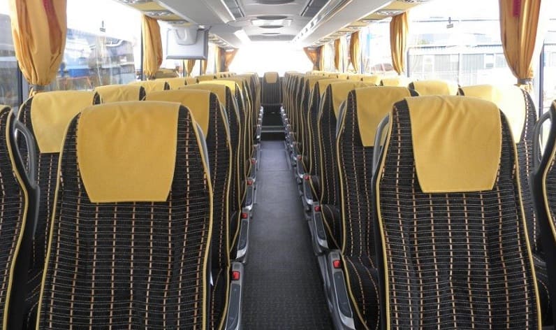 Portugal: Coaches reservation in Centro in Centro and Castelo Branco
